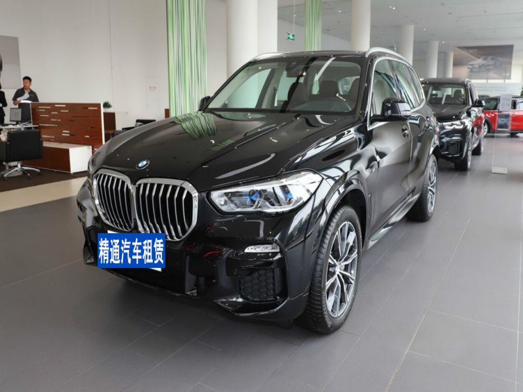 寶馬X52021款 改款 xDrive40i M運動套裝